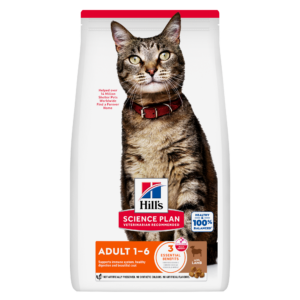 Hills Science Plan Adult  Cat Lamb 10kg